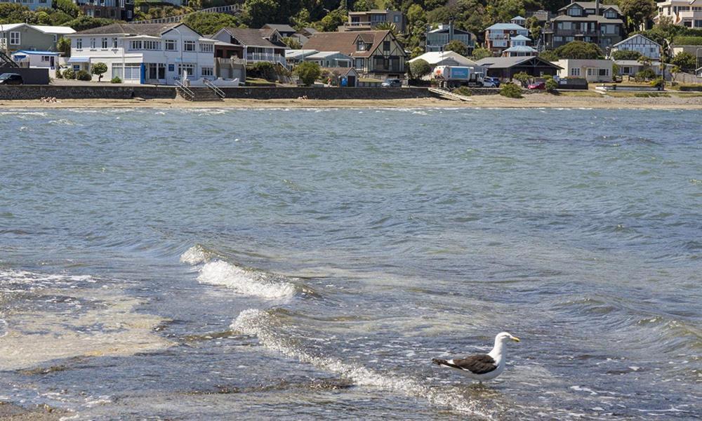 Moana Lodge Plimmerton Zewnętrze zdjęcie