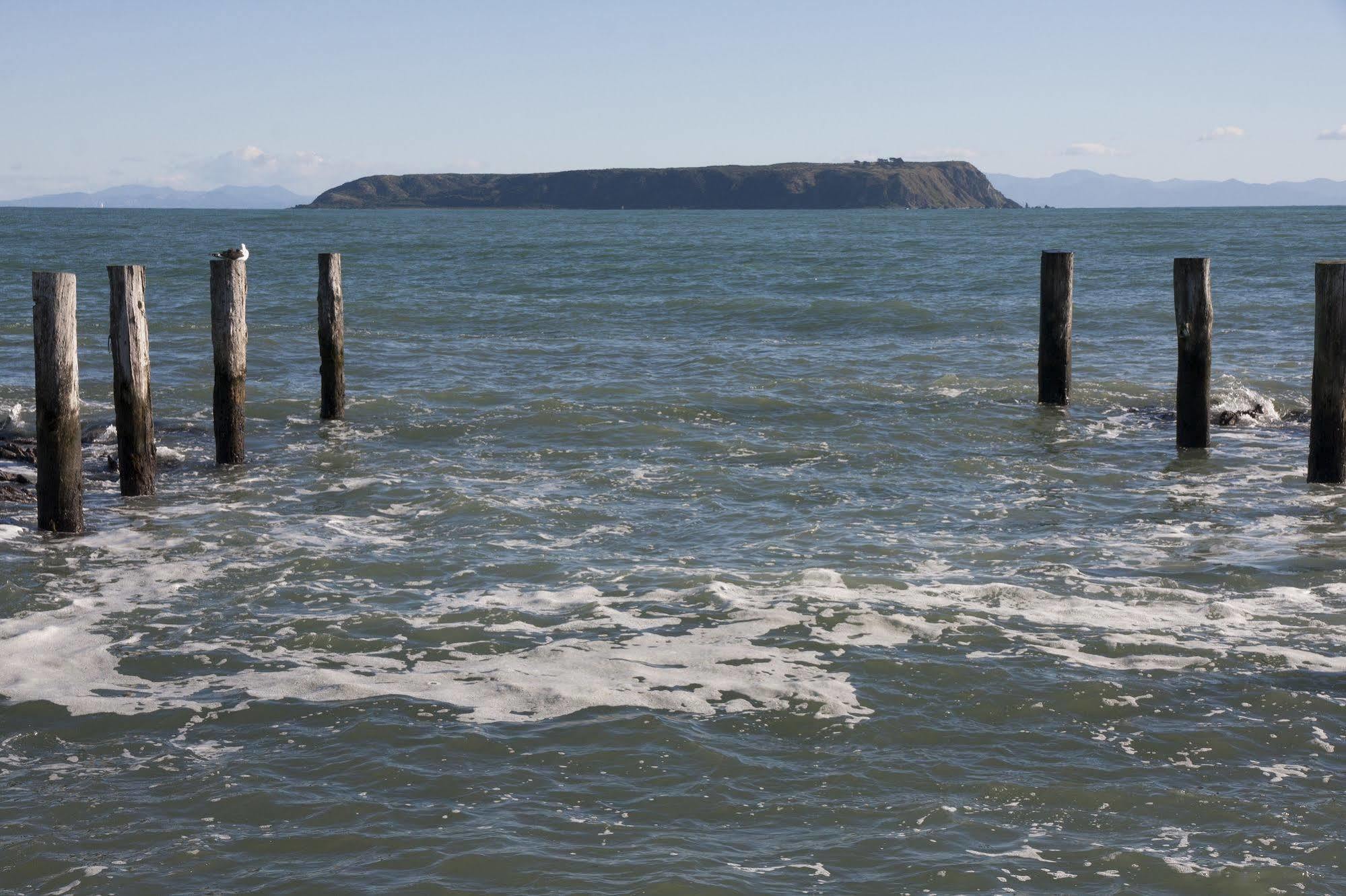 Moana Lodge Plimmerton Zewnętrze zdjęcie